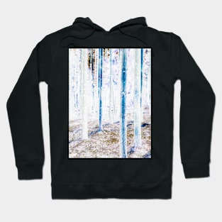 Mystic Forest Hoodie